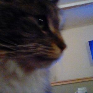 Meet your Posher, Sandy